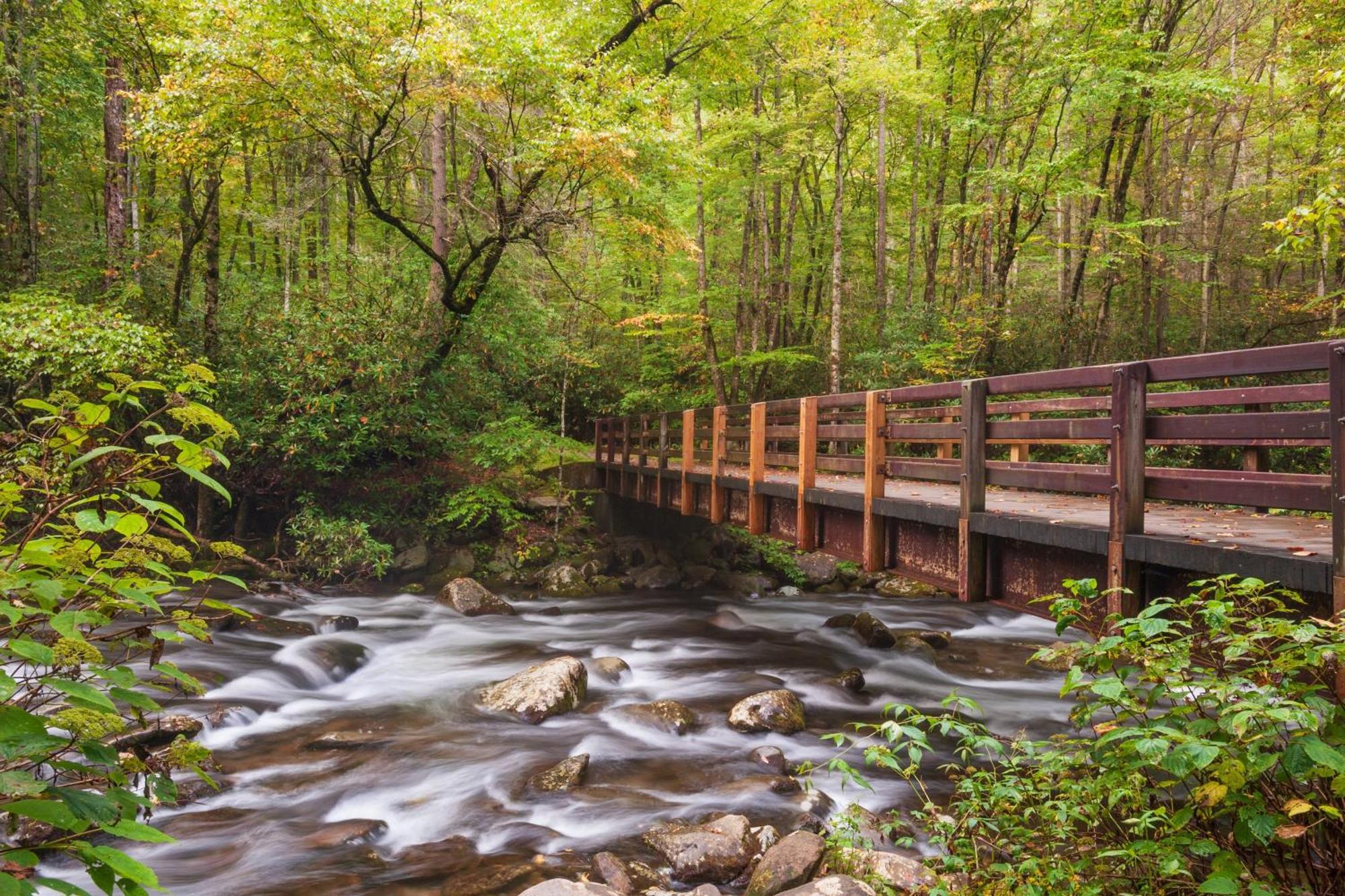 Tranquility Hollow, Indoor Pool, Game Room, 1089 Free Tickets Each Paid Day, Dollywood And More! Sevierville Luaran gambar